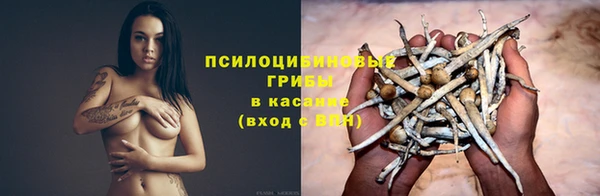 крисы Балабаново