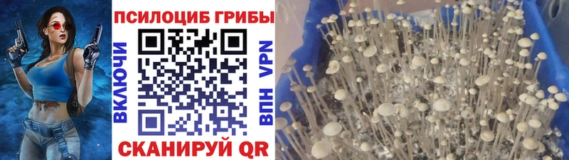 Псилоцибиновые грибы ЛСД Белогорск